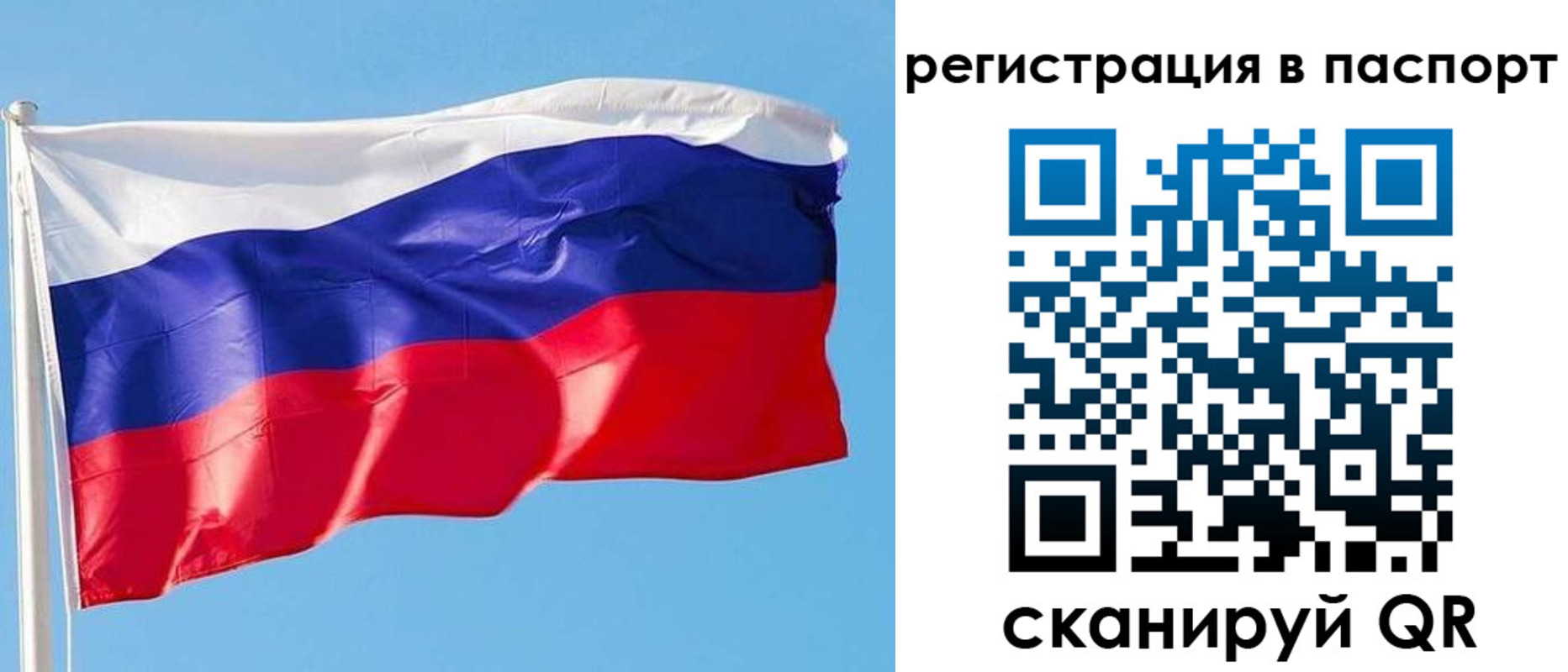 прописка законно в Новоульяновске
